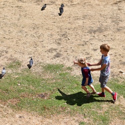 London/St James Park/DSC_2724.JPG